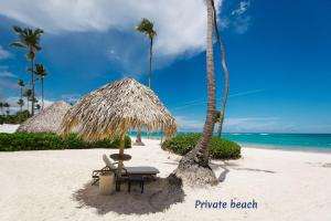 uma praia com uma cadeira e um guarda-sol de palha e palmeiras em Private Villa LaPerla Iberosta 3BDR, Pool, Beach, WiFi em Punta Cana