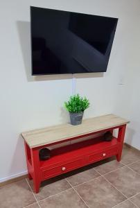 Una planta en maceta colocada encima de una mesa roja. en Suite Vintage Bariloche, en San Carlos de Bariloche