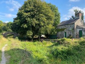 una vieja casa de piedra con un árbol en un campo en A magical hideaway overlooking the river Boyne, en Donore