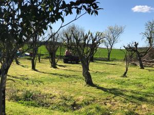 a man driving a truck in a field with trees at Les Geais in Péré