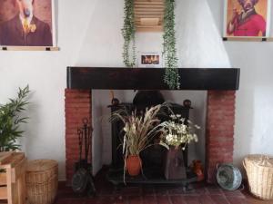 a living room with a brick fireplace with plants at Mascotas 2 in Benaocaz