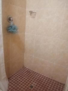 a shower with a red tiled floor and a shower constructor at Grace's Santuary in La Mercy