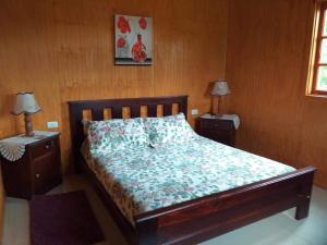 a bedroom with a bed with two nightstands and two lamps at Villa Rosa House in Pinto
