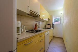 Kuchyňa alebo kuchynka v ubytovaní NeaLeona Apartments