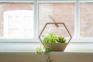 a plant sitting on a window sill next to a mirror at Lovely 3-bedroom apartment in Colchester in Colchester