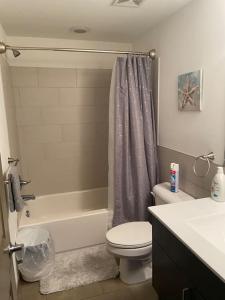 y baño con aseo, bañera y lavamanos. en Charming 2 bedroom apartment near VCU en Richmond