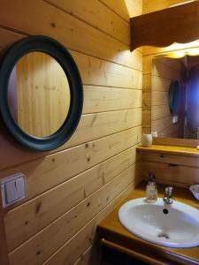 a bathroom with a sink and a mirror at La Roulotte des Oliviers in Saint-Pierre-de-Vassols