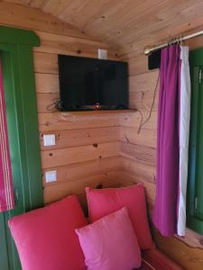 a room with a tv and two pink pillows at La Roulotte des Oliviers in Saint-Pierre-de-Vassols