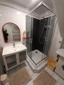 uma casa de banho com um chuveiro, um lavatório e um espelho. em les Lauzes em Les Menuires