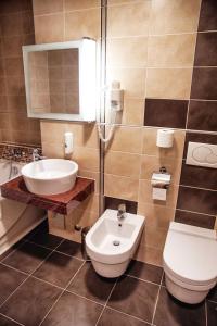 a bathroom with a white toilet and a sink at Hotel Lent superior in Maribor