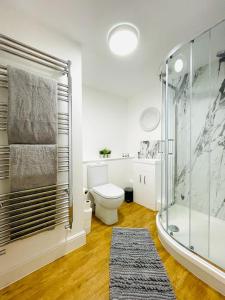 La salle de bains est pourvue de toilettes et d'une douche en verre. dans l'établissement Prosper House Apartments, à Norwich