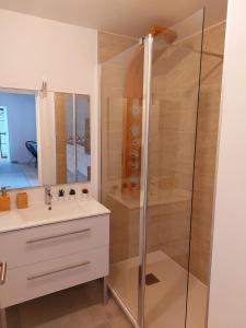 een badkamer met een douche en een wastafel bij Odos Tarbes Très beau T3 avec petite terrasse et pkg in Odos