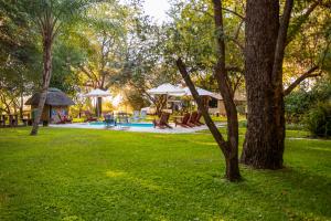 un patio con piscina, cenador y árboles en Zambezi Mubala Camp, en Katima Mulilo