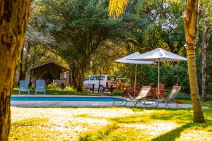 卡蒂馬穆利洛的住宿－Zambezi Mubala Camp，一组椅子和一把遮阳伞,位于游泳池旁