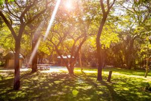a park with the sun shining through the trees at Zambezi Mubala Camp in Katima Mulilo