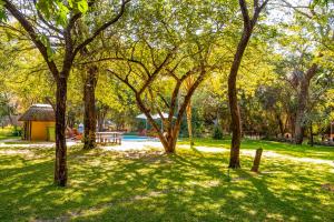 a group of trees in a park with a picnic table at Zambezi Mubala Camp in Katima Mulilo