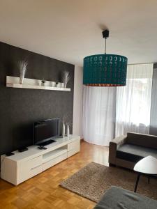 Televízia a/alebo spoločenská miestnosť v ubytovaní Waldblick