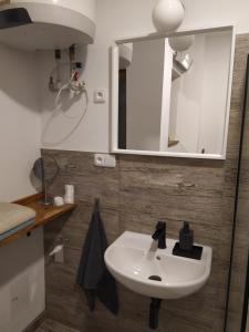 Koupelna v ubytování Apartmán Bart's