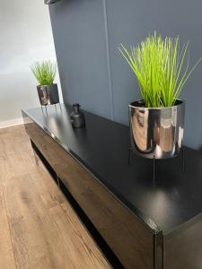 dois vasos de plantas sentados em cima de uma mesa preta em Pendle House - Apartment 3 em Colwyn Bay