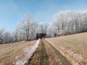 un camino de tierra en un campo con árboles en el fondo en Berghütte Fürstenwalde, en Fürstenwalde