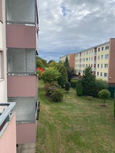 a view from a balcony of a building with a yard at Waldblick in Hannover
