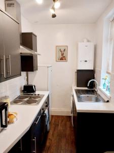 cocina con fregadero y encimera en CityHost Apartments - Newcastle, en Elswick