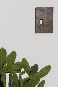 Fotografie z fotogalerie ubytování ecoSuites v destinaci Toroni