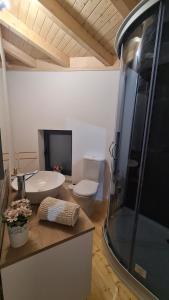 een badkamer met een toilet, een wastafel en een douche bij O Cantinho da Penetra AL in Santar