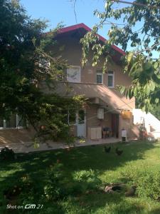 a house with chickens in the yard at Rooftop apartment with a big garden in Kocaeli