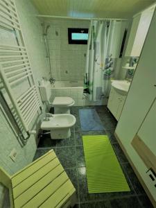 La salle de bains est pourvue de 2 toilettes, d'un lavabo et d'une douche. dans l'établissement Mr. Bens cottage, à Škofja Loka