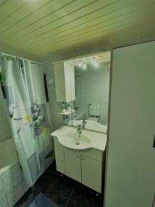 ein Bad mit einem Waschbecken und einem Spiegel in der Unterkunft Mr. Bens cottage in Škofja Loka