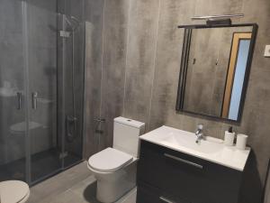 ein Bad mit einem WC, einer Dusche und einem Waschbecken in der Unterkunft navas suite in Navas del Rey