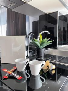 Kuchyň nebo kuchyňský kout v ubytování LUXSUITES
