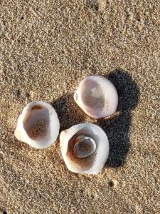 tre oggetti rotti nella sabbia sulla spiaggia di Crazy Suite ad Ashkelon