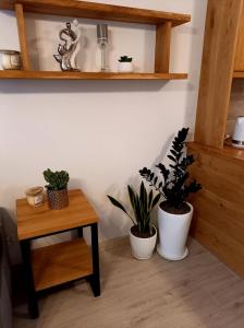 une chambre avec deux plantes en pot et une table dans l'établissement Apartament Green Park, à Starogard Gdański