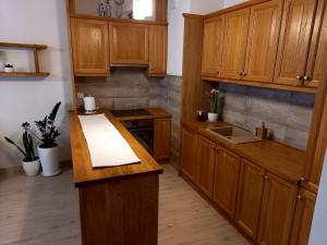 eine Küche mit Holzschränken und einer Arbeitsplatte in der Unterkunft Apartament Green Park in Starogard Gdański