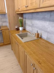 - une cuisine avec évier sur un comptoir en bois dans l'établissement Apartament Green Park, à Starogard Gdański