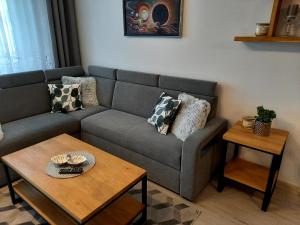 Apartament Green Park في ستاروغارد غدانسكي: غرفة معيشة مع أريكة وطاولة
