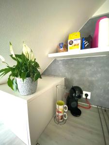 een kamer met een plant en een beker op een plank bij Superbe appartement, Général Allix à Sens in Sens