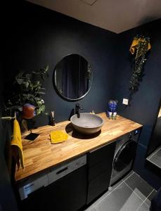 uma casa de banho com um lavatório e um espelho num balcão em Coeur de Lyon avec Terrasse et Jacuzzi em Lyon
