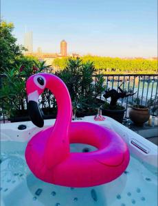 um cisne cor-de-rosa flutua numa piscina de água em Coeur de Lyon avec Terrasse et Jacuzzi em Lyon