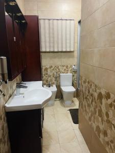 a bathroom with a sink and a toilet in it at Januario Maputo in Maputo