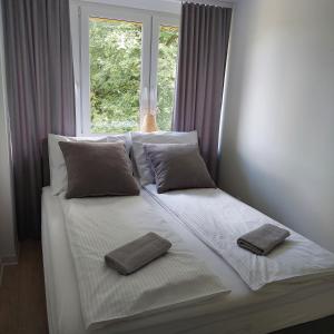 1 cama con 2 almohadas y ventana en Apartament26 en Stronie Śląskie