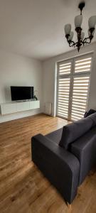 Televízia a/alebo spoločenská miestnosť v ubytovaní Uroczy apartament - Krasnystaw