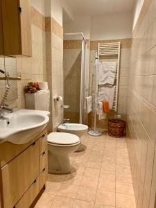 ein Bad mit einem WC, einem Waschbecken und einer Dusche in der Unterkunft Da Giusy in Stresa