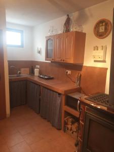 eine Küche mit Holzschränken und einer Arbeitsplatte in der Unterkunft Sklep U Petra in Velké Bílovice