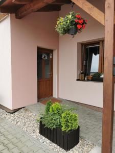 a house with a door and some plants and flowers at Apartmány Svítkov 79 in Pardubice