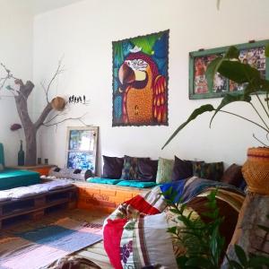 sala de estar con sofá y pinturas en la pared en Katsbarnea Hostel, en Florianópolis