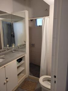a bathroom with a toilet and a shower at Mini casa en Barrio Historico in Colonia del Sacramento