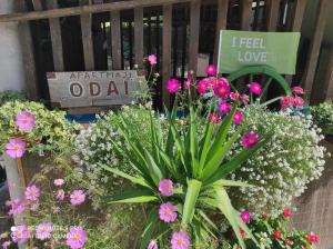Photo de la galerie de l'établissement ODAI, à Bovec 22 autres photos